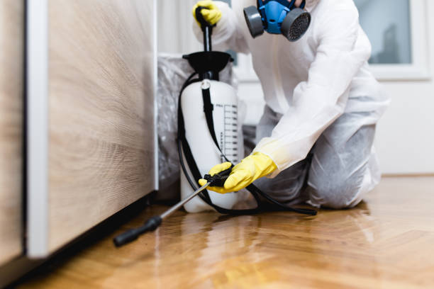 Trusted Kentland, IN Pest Control Experts
