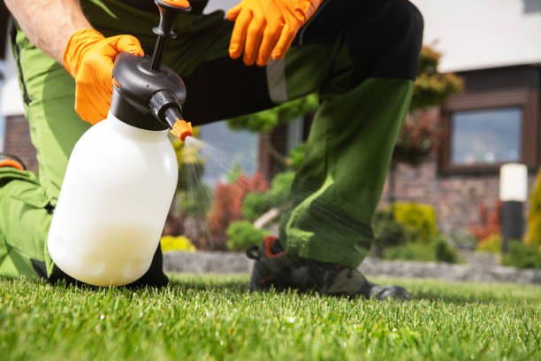 Best Emergency Pest Control  in Kentland, IN