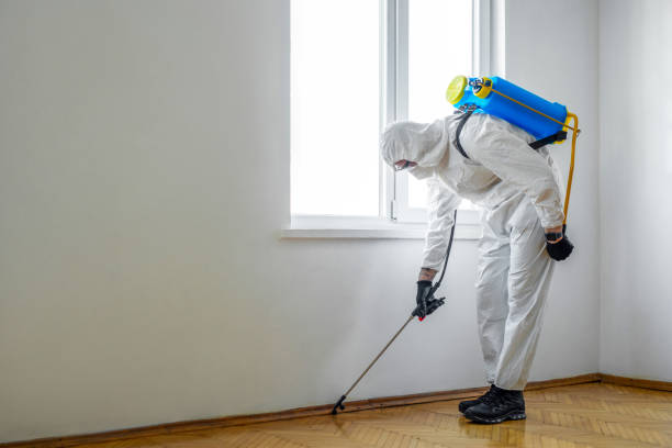 Best Best Pest Control Companies  in Kentland, IN