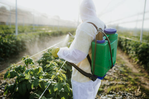Best Exterminator Services  in Kentland, IN
